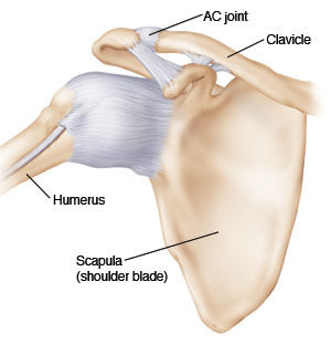What to expect when you're not expecting, an acromioclavicular (AC) joint  injury. - Source Endurance