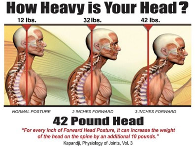 Postural Orthostatic Tachycardia Syndrome (POTS), the Vagus Nerve and  Cervical Spine instability – Caring Medical Florida