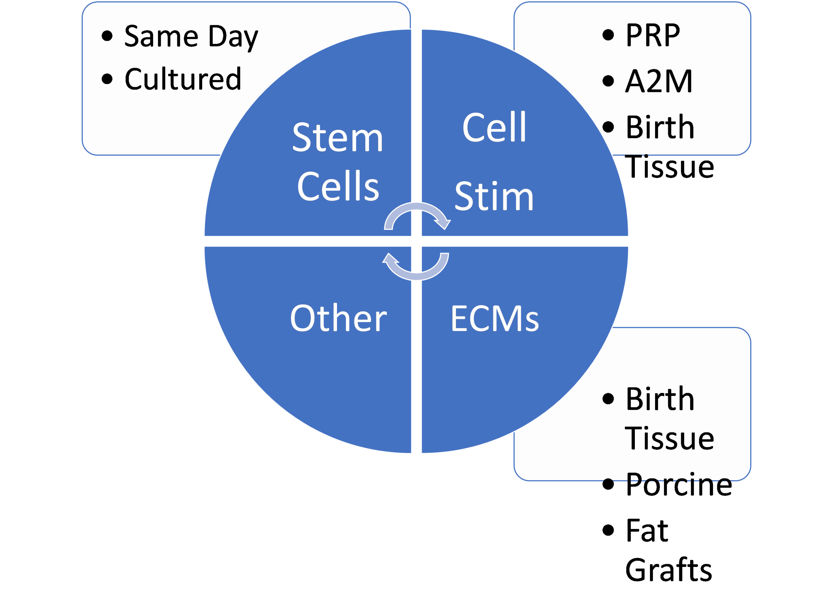 stem cell clinic guide