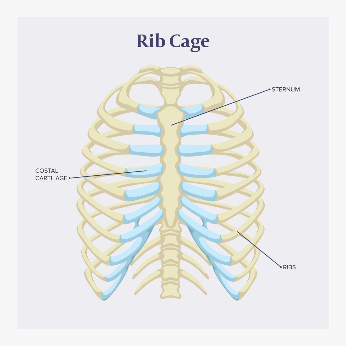 ribs out of place pain