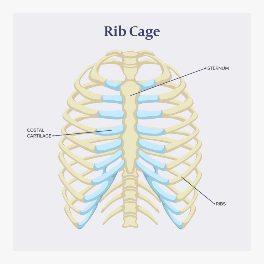 Back Pain In Ribs: Understanding Thie Cause Of The Symptom