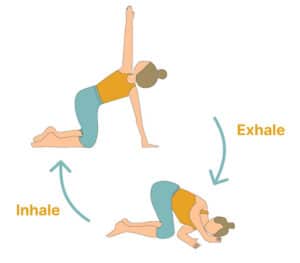 A Guide To Thoracic Spine Exercises: Tips and Precautions