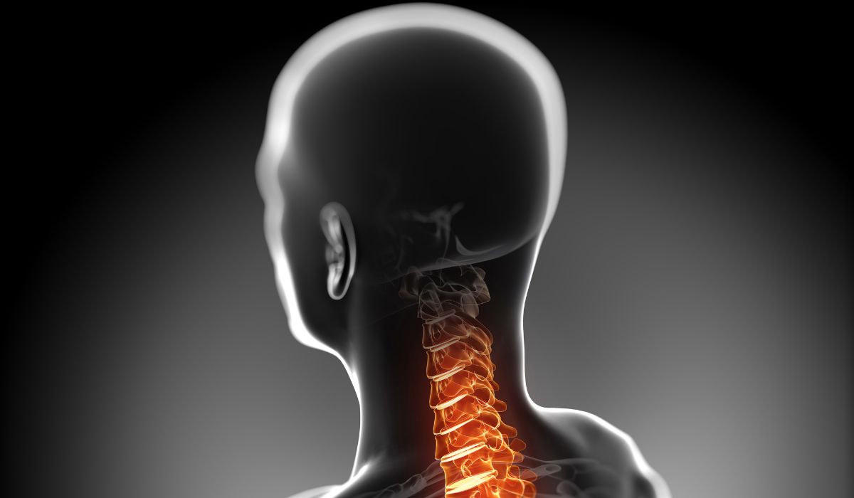 What is a cervical disc?
