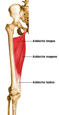 non-surgical hip procedure treatments