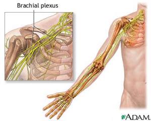 Pain Radiating Down My Arm After Shoulder Surgery