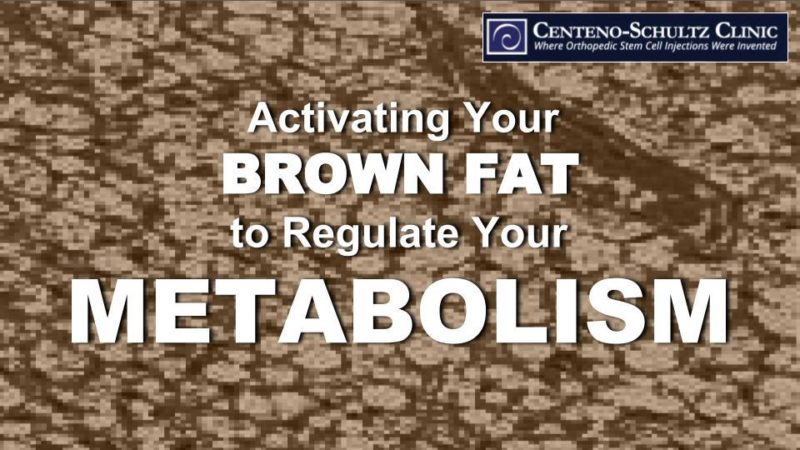 Activating Beneficial Brown Fat Regulates Metabolism