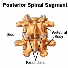 cervical-facet