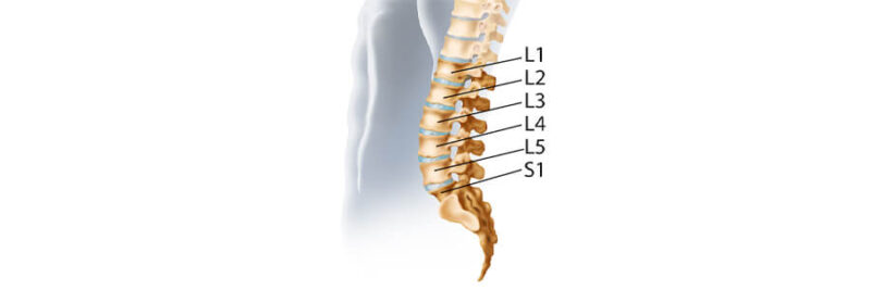 What You Need To Know About The L5 S1 (Lumbosacral Joint)