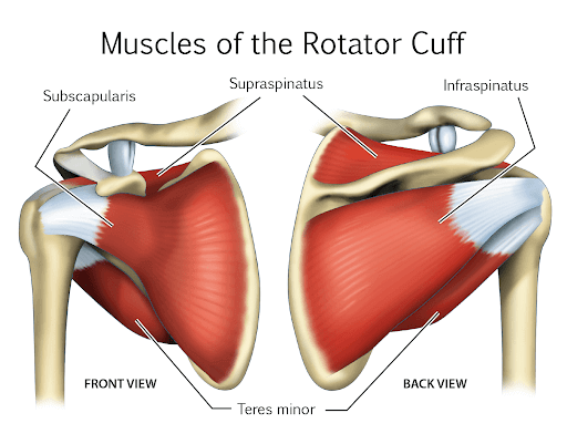 Treatment For A Torn Rotator Cuff Without Surgery