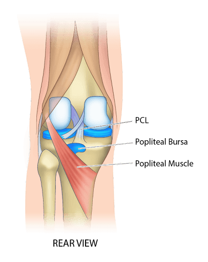 Knee Pain Location Chart