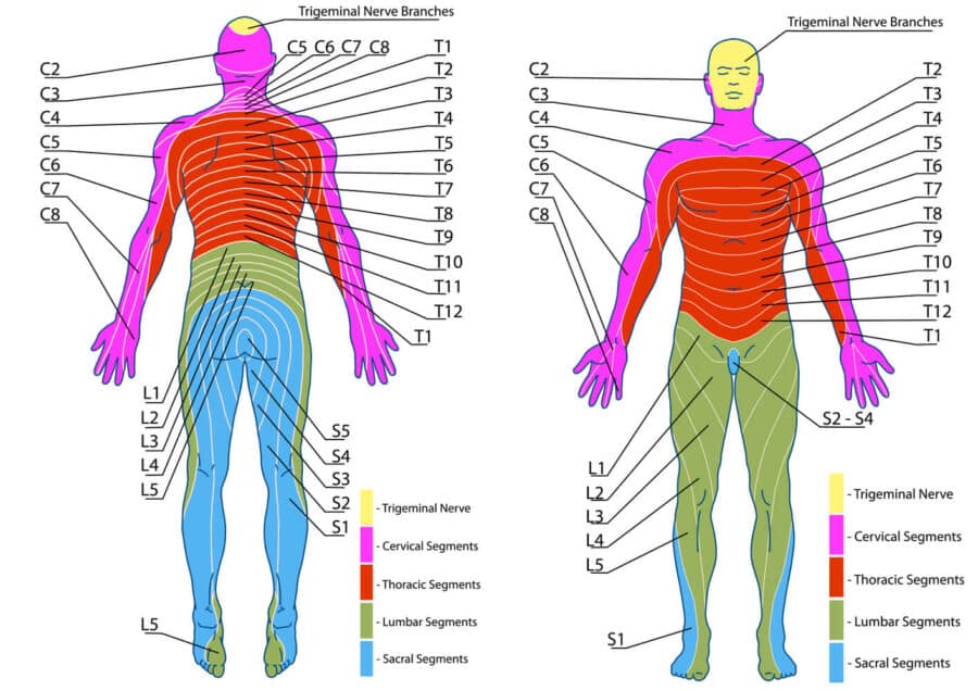 Understanding Referred Pain From Thoracic Spine