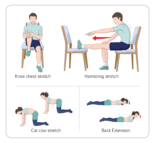 How to Prevent a Bulging Disc: 12 Steps (with Pictures) - wikiHow Health