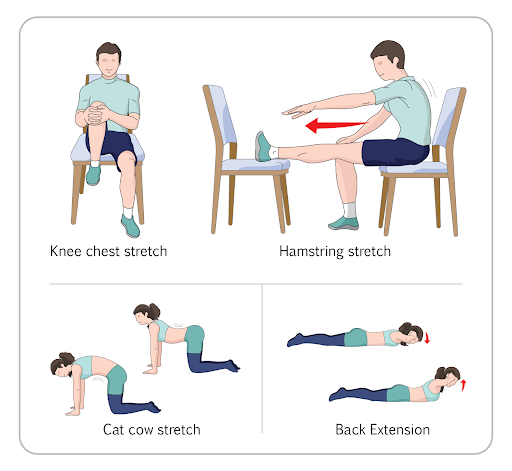 10 Best Exercises & Stretches for Lower Back Pain Relief