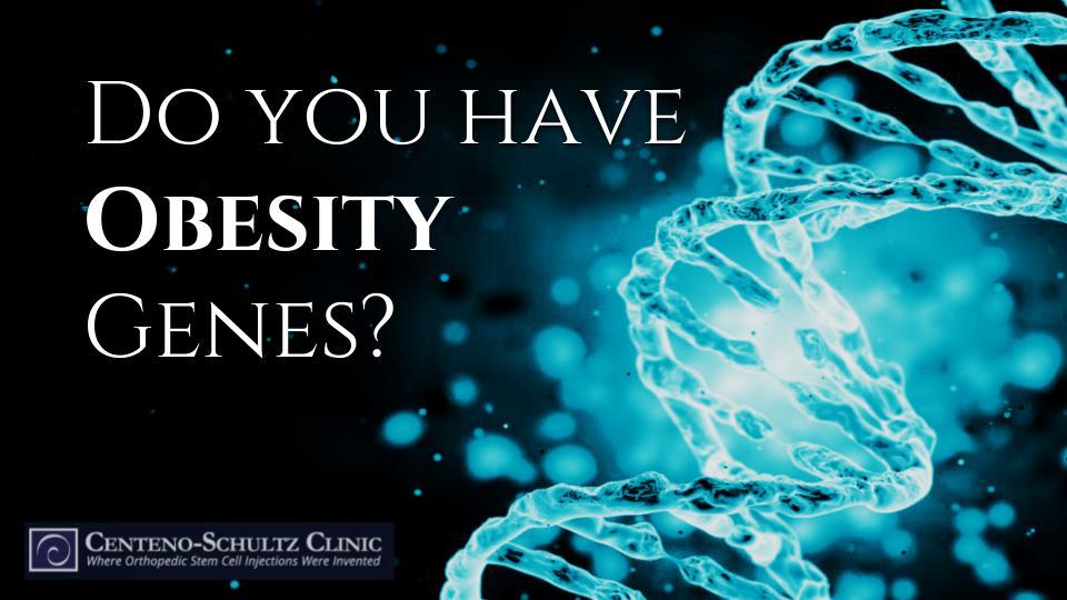 obesity in your genes