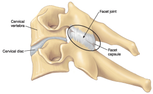 Cervical facet joint