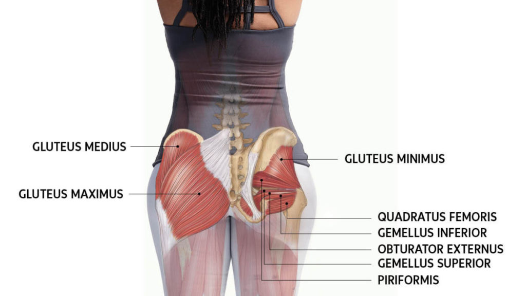 stretching the gluteus medius hole