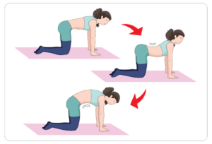 How To Crack Lower Back - 9 Ways You Can Do