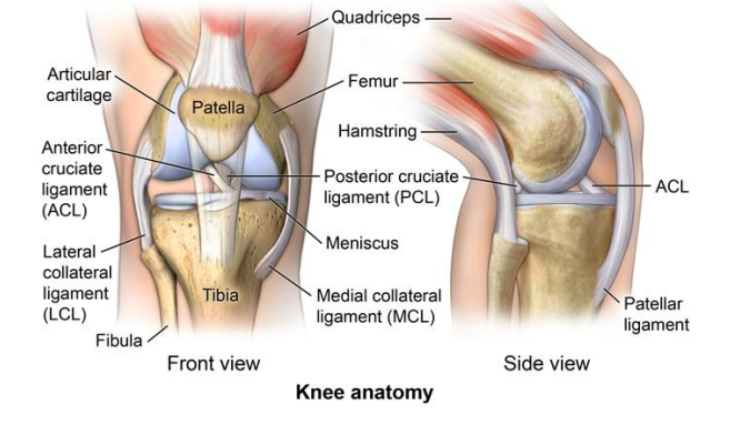 Crunching sound in knee with deals pain