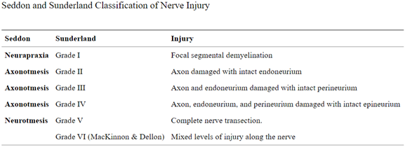 Grades 1- 5 in nerve damage