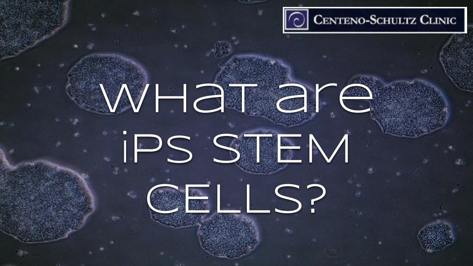 iPS stem cells