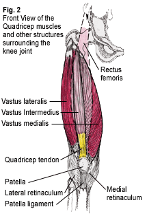 lateral-retinaculum
