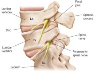 SI joint - low back pain