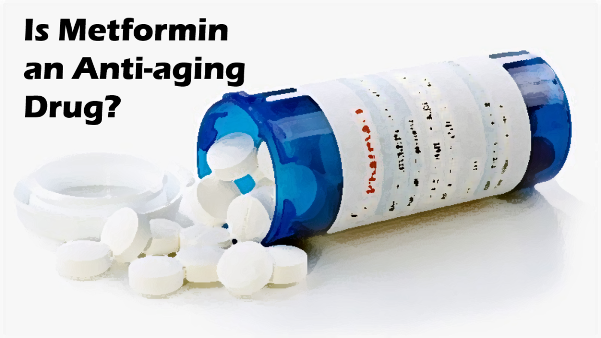 Should I Take Metformin - Aging Athletes Series | CSC