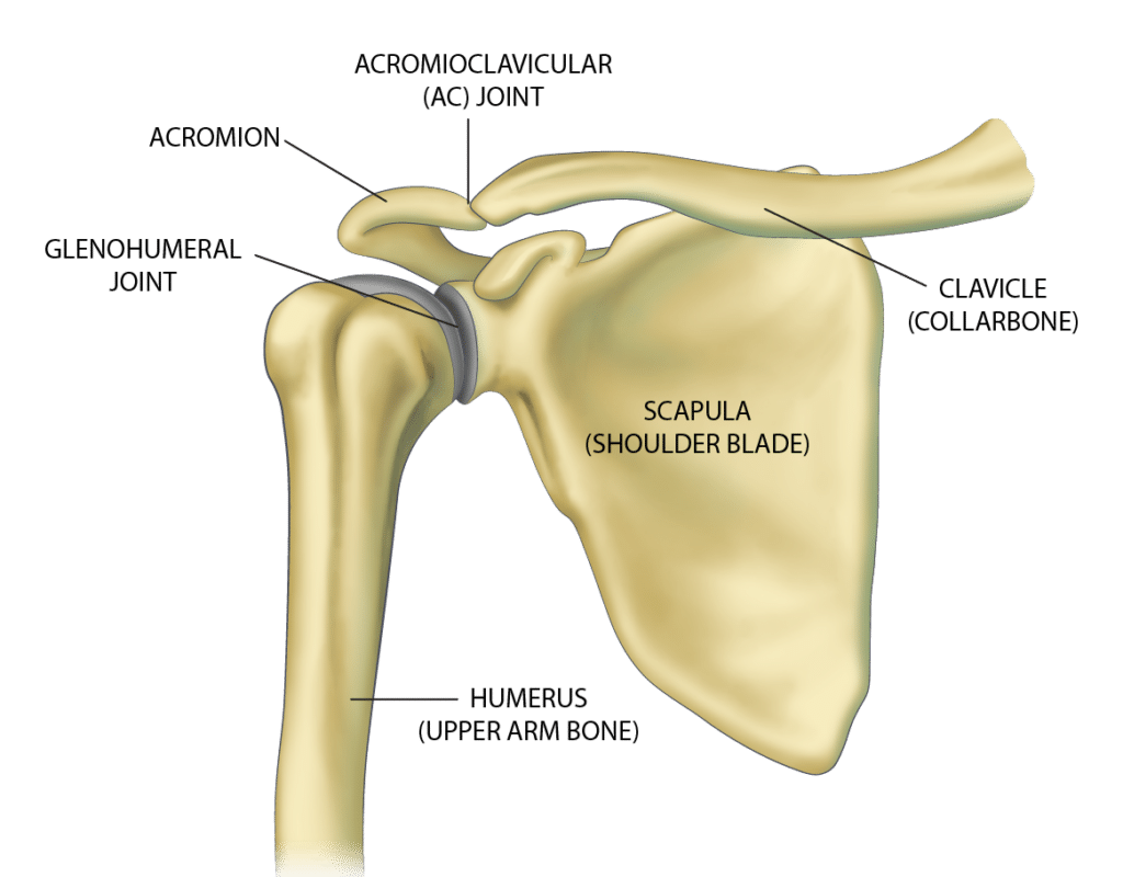 Understanding Front Shoulder Pain Symptoms and Treatments