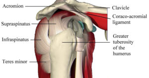 Can Physical Therapy Help With A Rotator Cuff Tear? - Mend Colorado