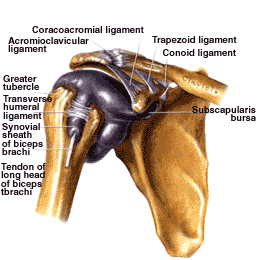 Getting Ready for Shoulder Surgery – my shoulder recovery