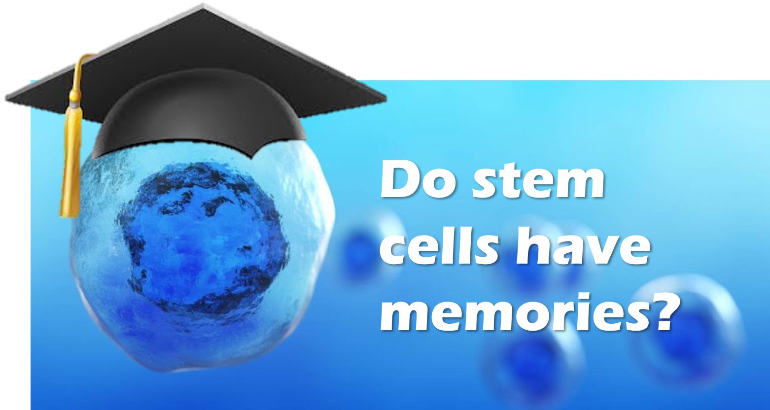 stem cells and memories