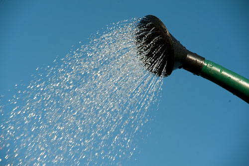 watering can